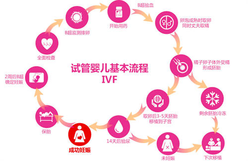 供卵试管常见套路有哪些 如何选择一家正规的供卵试管医院插图2 供卵试管常见套路有哪些 如何选择一家正规的供卵试管医院插图2