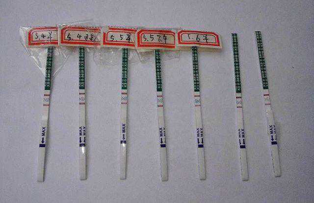 排卵试纸和早孕试纸的2大区别,做好备孕准备插图3 排卵试纸和早孕试纸的2大区别,做好备孕准备插图3