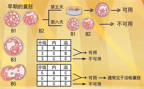 供卵试管有没有血缘关系?国内供卵不用等的医院有哪些?插图 供卵试管有没有血缘关系?国内供卵不用等的医院有哪些?插图