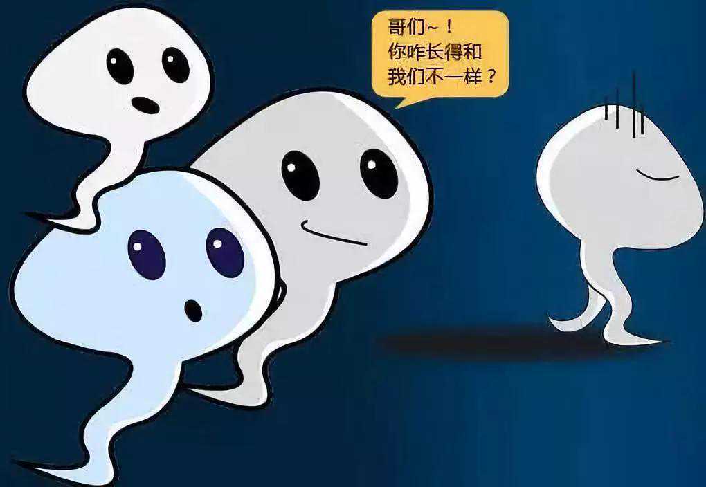 有弱精症的男人可以做试管婴儿吗?插图 有弱精症的男人可以做试管婴儿吗?插图