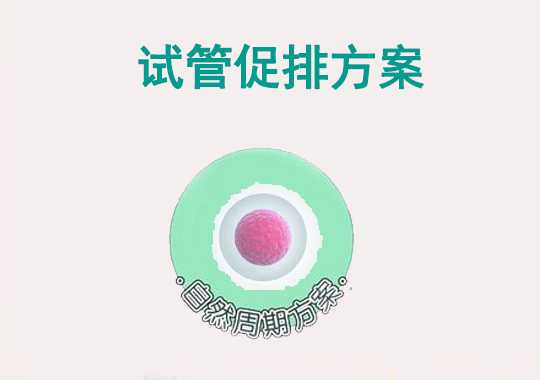 自然周期方案插图 自然周期方案插图