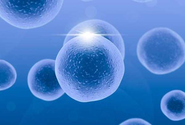 如何做试管婴儿能一次成功？记住这两点很关键！插图