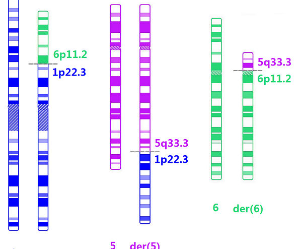 染色体易位也有春天，怀孕生健康宝宝并非说说而已插图1