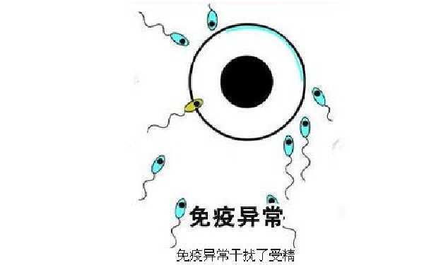 在上海的医院做试管移植失败,为什么会移植失败?插图 在上海的医院做试管移植失败,为什么会移植失败?插图