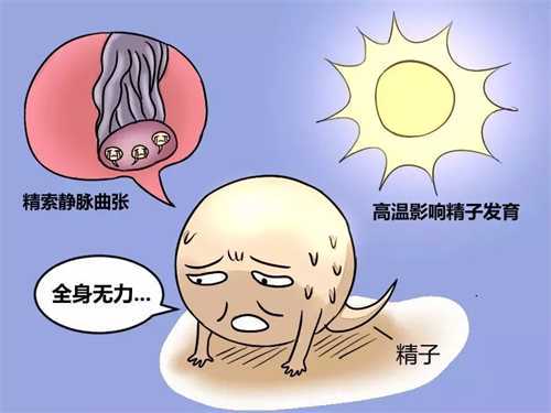 上海能做供卵试管的私立医院介绍 上海中山医院能申请做供卵吗插图
