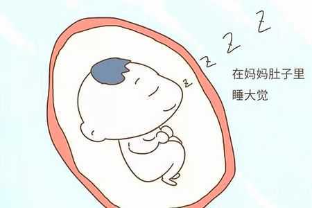 做试管婴儿还会宫外孕吗,宫外孕后还会宫外孕吗?插图1 做试管婴儿还会宫外孕吗,宫外孕后还会宫外孕吗?插图1