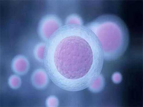 2024南京供卵试管生子机构发布!附南京供卵试管机构现状插图2 undefined
