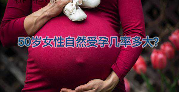 50岁高龄失独做到这5点，自然受孕率几率也能很高！插图