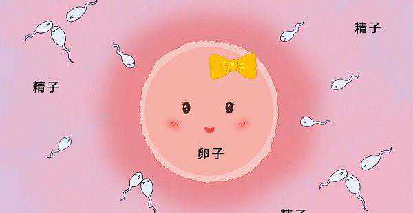 透明带插图 透明带插图