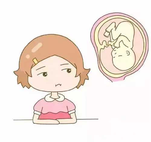 为什么女性做供卵试管至少要等半年才能胚胎移植?供卵助孕申请流程是怎样的?插图 undefined