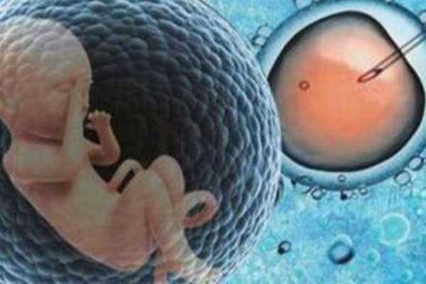 2024试管婴儿的费用是多少?每个人的花费都不一样插图 2024试管婴儿的费用是多少?每个人的花费都不一样插图