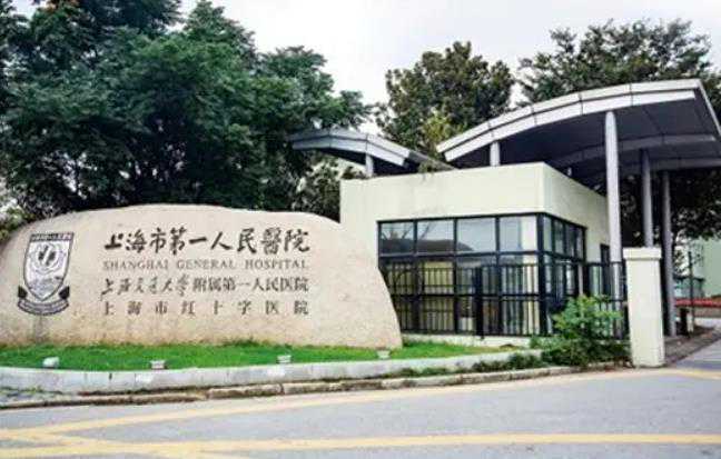 上海第一人民医院做试管婴儿多少钱？附上海试管医院成功率详解！插图