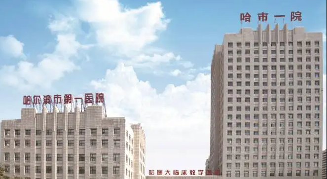 2024年哈尔滨哪些医院可以做试管婴儿插图2 1659592611815925.png