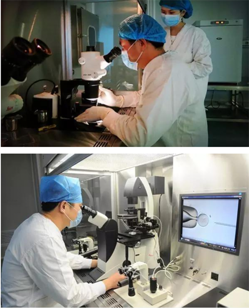 女性染色体异常可以做三代试管婴儿吗?21号染色体三体有什么具体症状?插图 女性染色体异常可以做三代试管婴儿吗?21号染色体三体有什么具体症状?插图