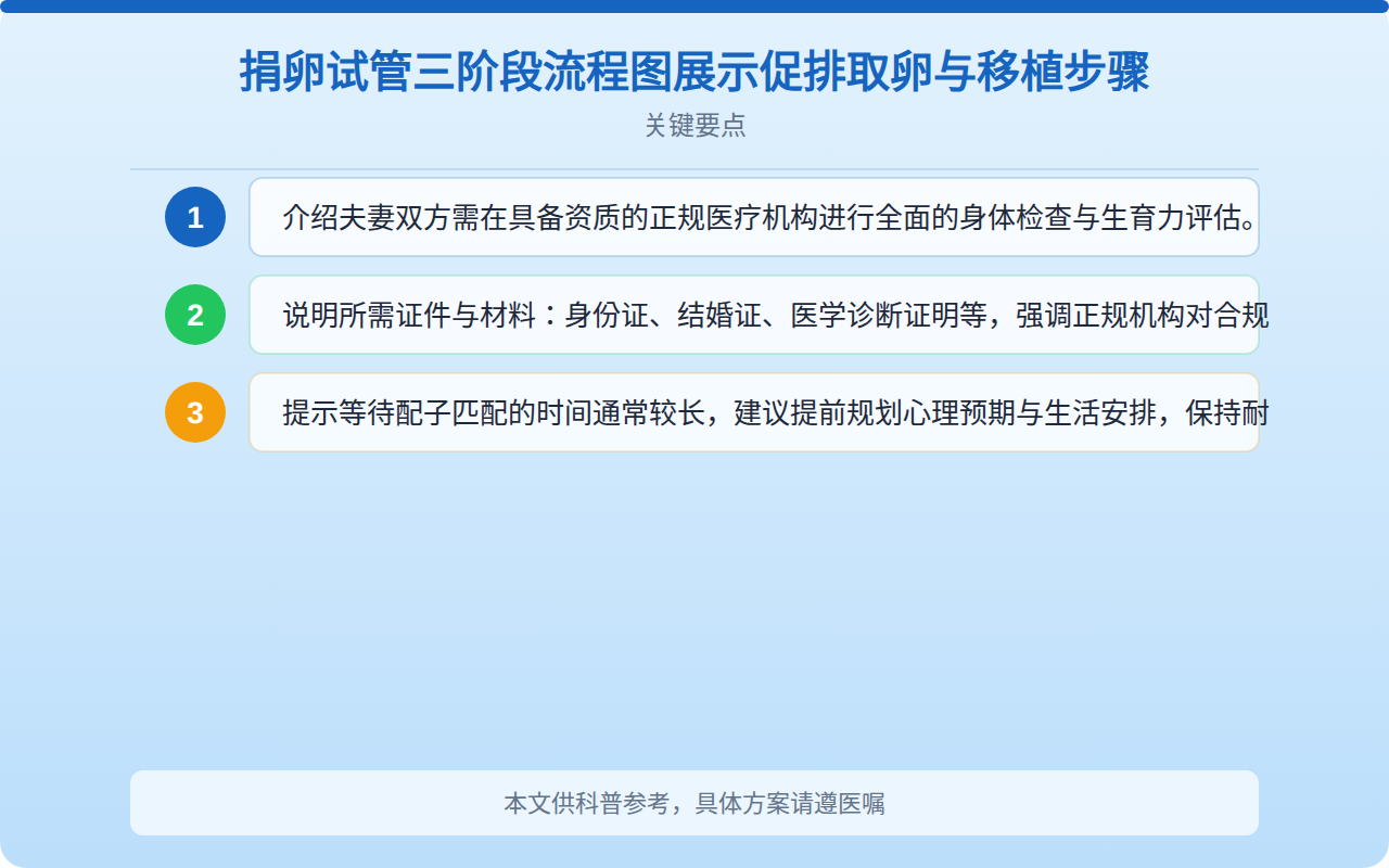 捐卵试管三阶段流程图展示促排取卵与移植步骤