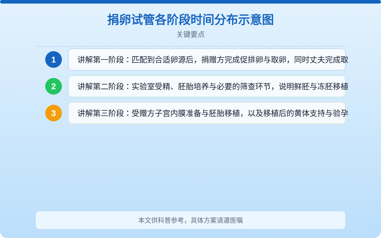 捐卵试管各阶段时间分布示意图