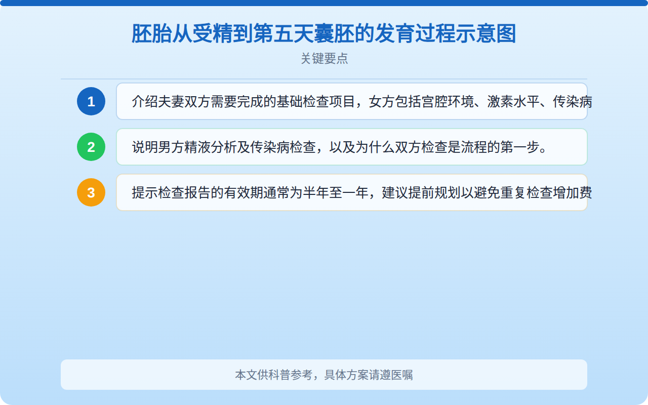 胚胎从受精到第五天囊胚的发育过程示意图
